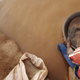 A worker pans for gold at an informal mining area, close to Sowerda, Sudan. The process is meant to separate the gold from the rock and water. The pool has mercury in it, posing a health risk to the miners.